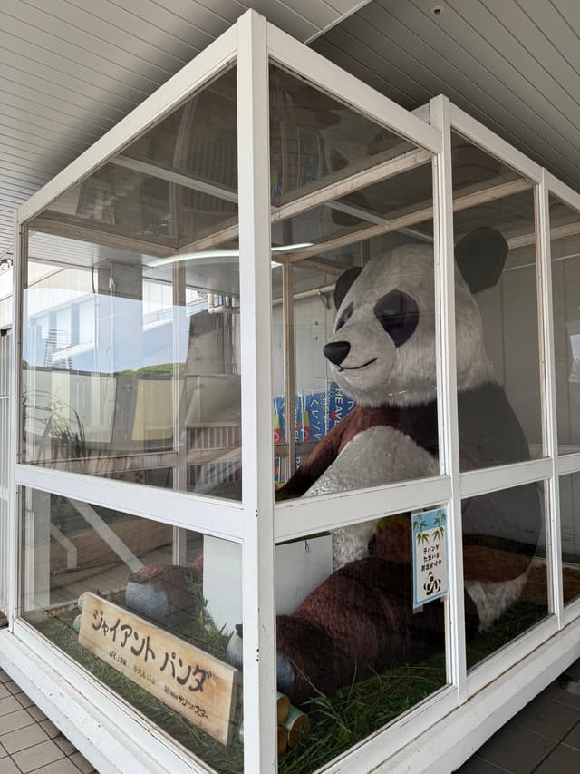 who trapped this panda