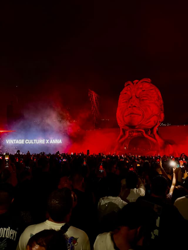 vintage culture x anna