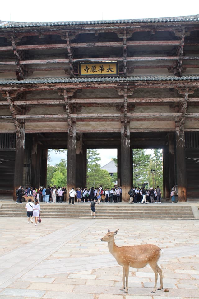 nara