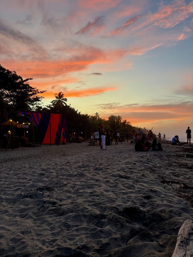 never made it to the jungle party