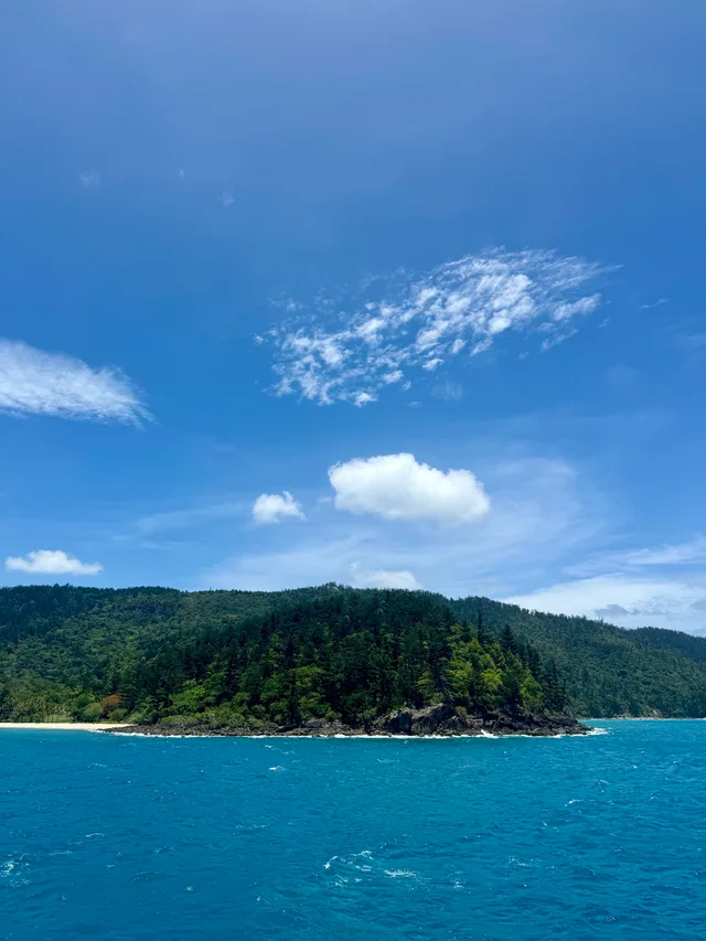 coral sea