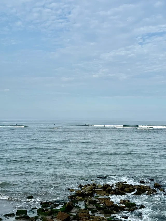 surfing?