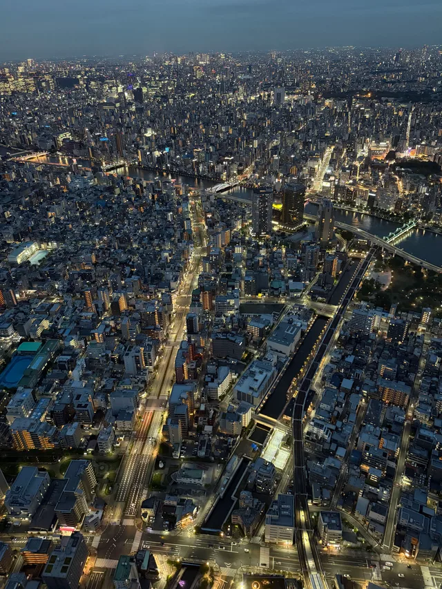 skytree